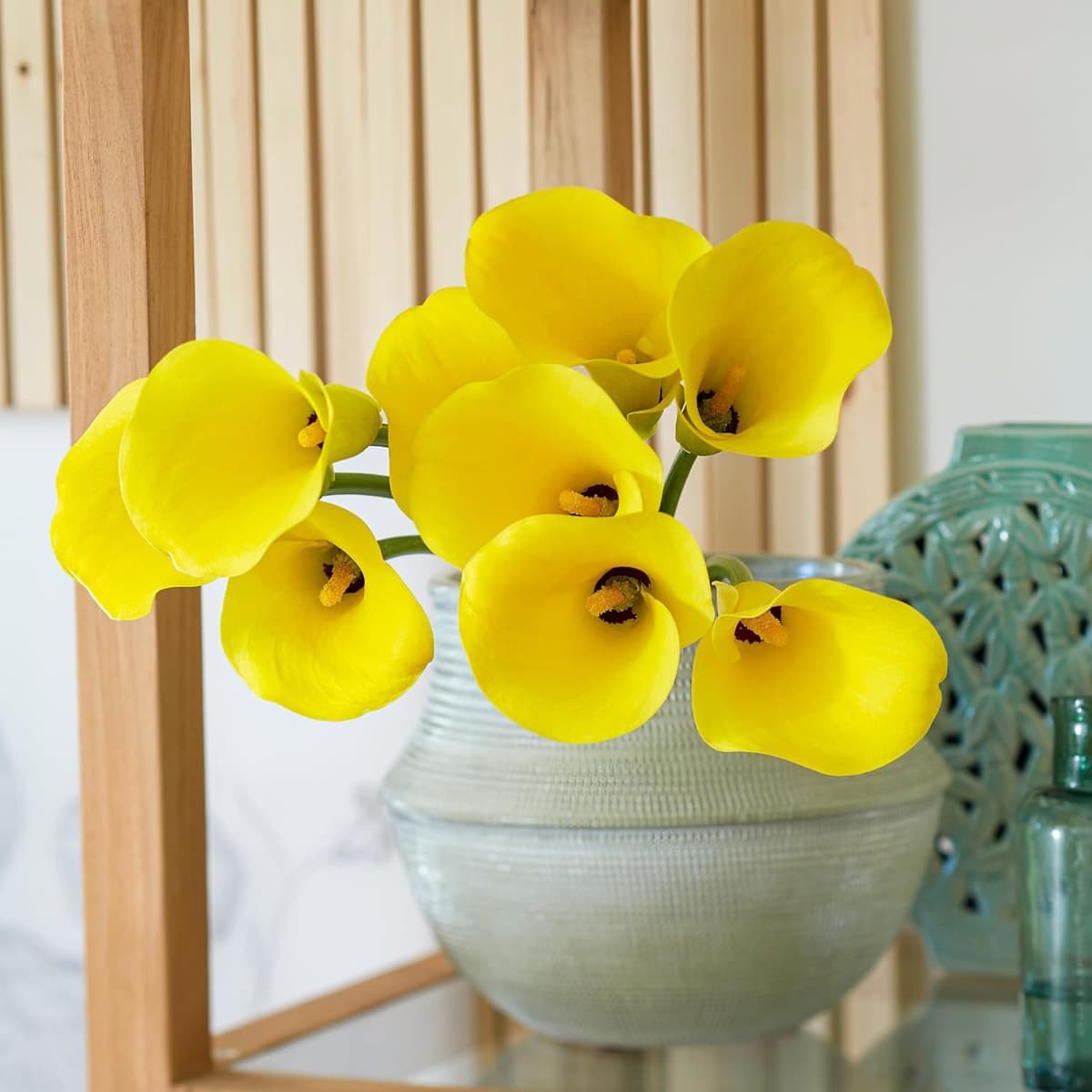 Pasión amarilla Zantedeschia Calla Lilly Bulbos, 5 piezas reales y grandes que producen más de 5 flores, planta de jardín ideal, bulbos de flores de Holanda (no son semillas y no son artificiales) — view 3