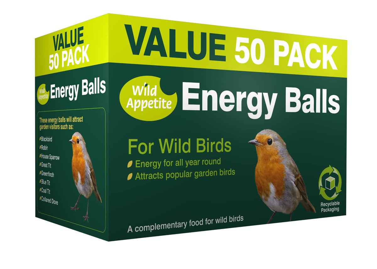 Wild Appetite Suet Energy Fat Balls Bird Food - Pack of 50