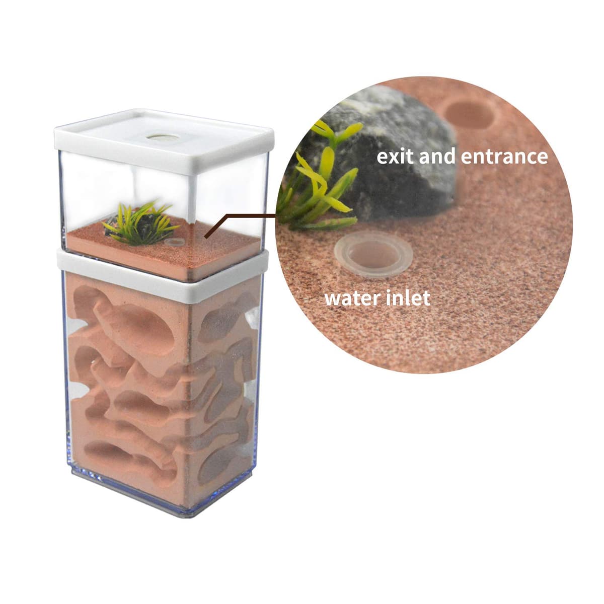 aleawol Ant Nest Farm Natural Gypsum, Transparent Ant Formicarium World House Feeding Box for Observing Habits Science Experiment Gift — view 5