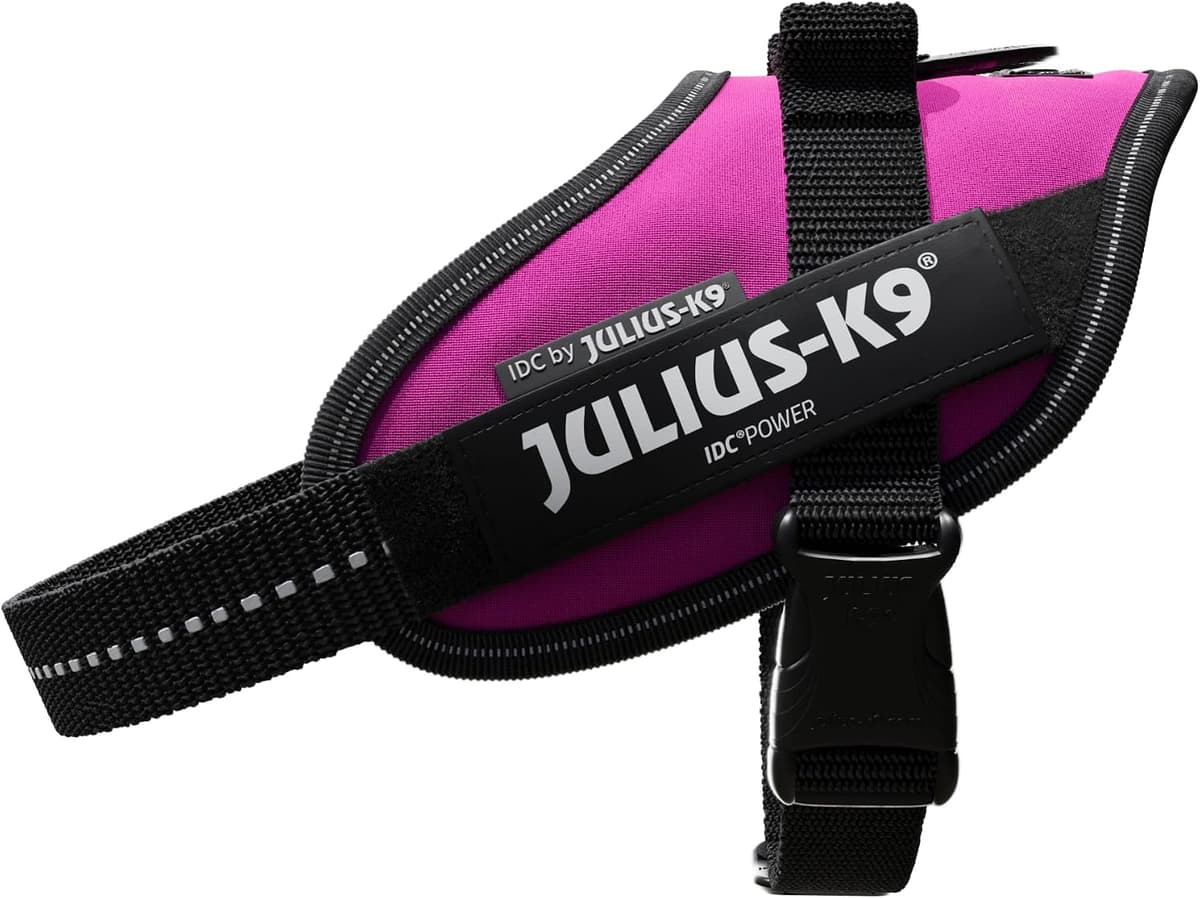 Julius-K9, 16IDC-DPN-M, IDC Powerharness, dog harness, Size: Mini, Dark Pink — view 2