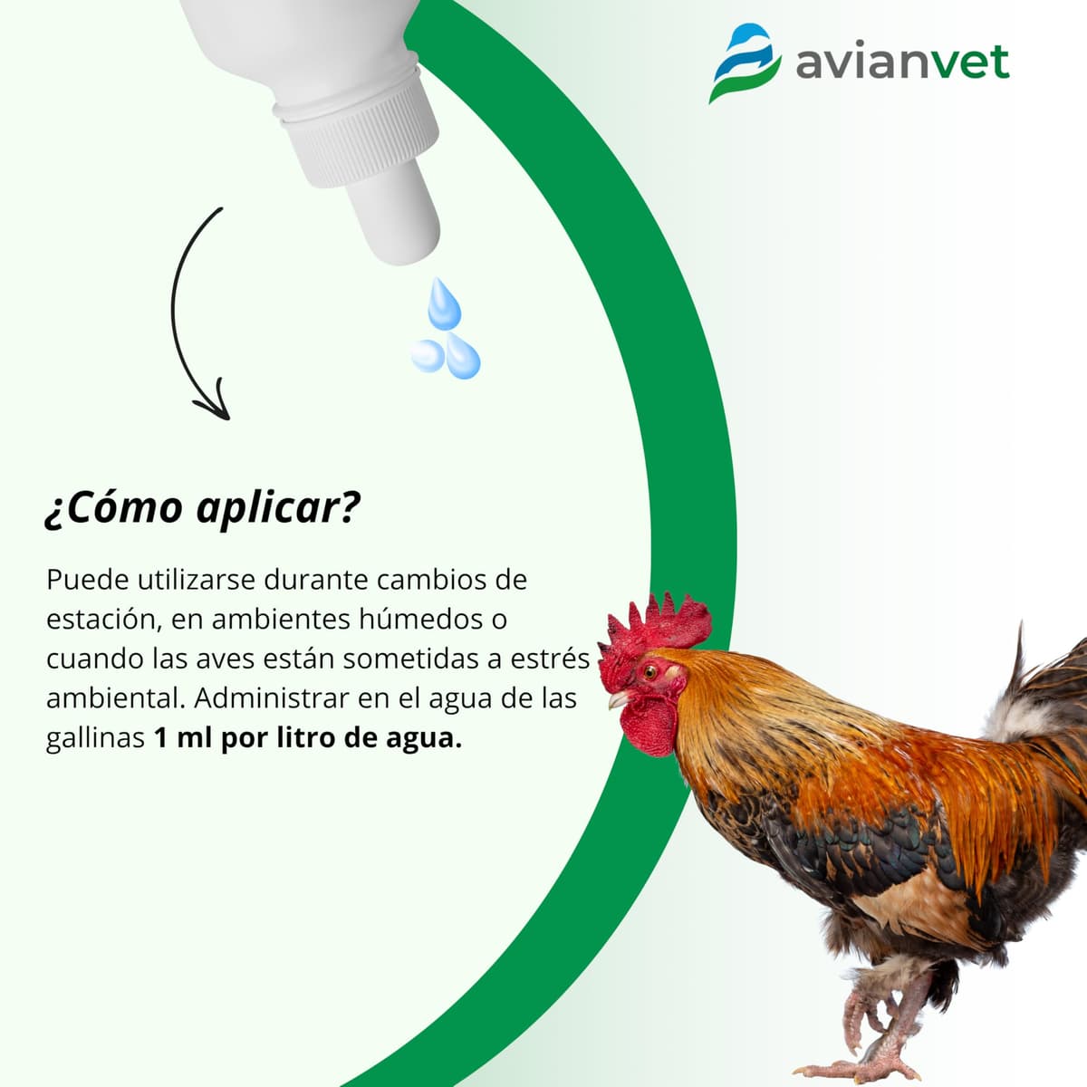 Respiratorio | Suplemento Natural para gallinas con mentol y eucalipto | Bienestar y Confort Ambiental en Aves | 500 ml — view 3