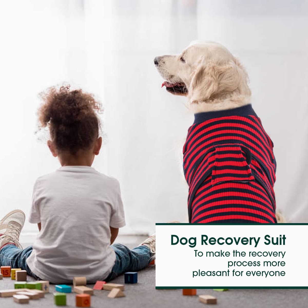 Kuoser Traje de Recuperación a Rayas para Perros y Gatos Post Operatorio, Protector de Heridas Abdominales/Enfermedades de la Piel para Mascota, Evitar Lamidas E-Collar & Cono Sustitutos — view 5
