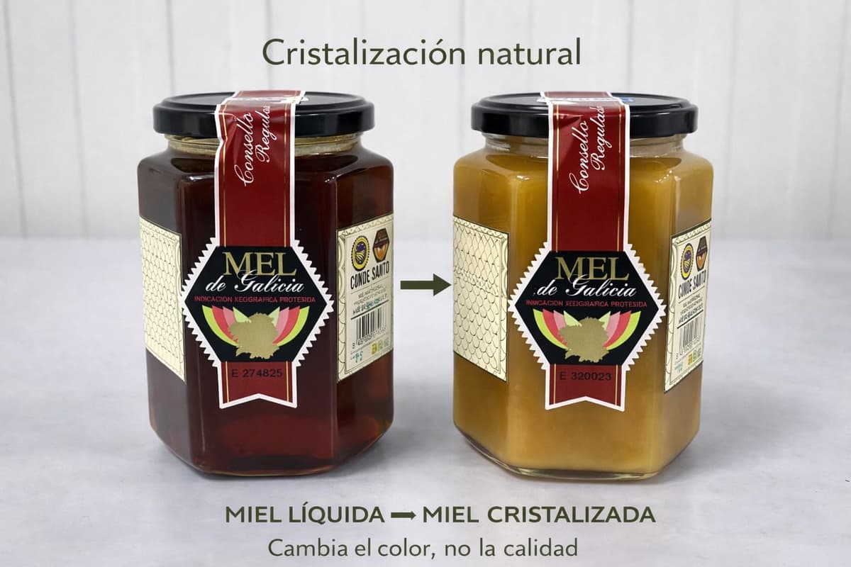 Miel Cruda de Montaña de Galicia IGP 1 kg – 100% Natural Sin Filtrar ni Pasteurizar | Miel Artesanal Directa del Apicultor | Conde Santo — view 2