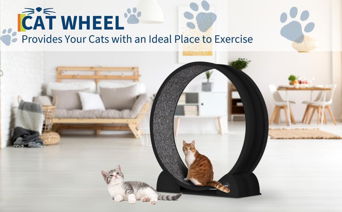 Rueda de Ejercicio para Gatos de Interior, diseño silencioso, Madera Natural Extra Grande, Pista alfombrada de 320 cm Desmontable con podómetro Inteligente, Ideal para Correr y Caminar — view 3
