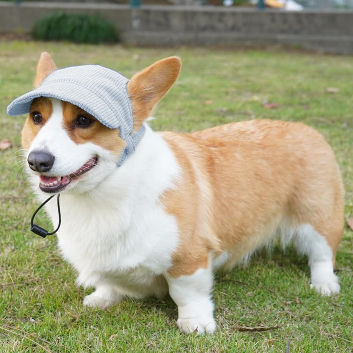 Dog Baseball Cap, Dog Cat Summer Beach Visor Hat with Ear Holes, Adjustable Puppy Sunbonnet Headdress (Blue, Large) — view 5