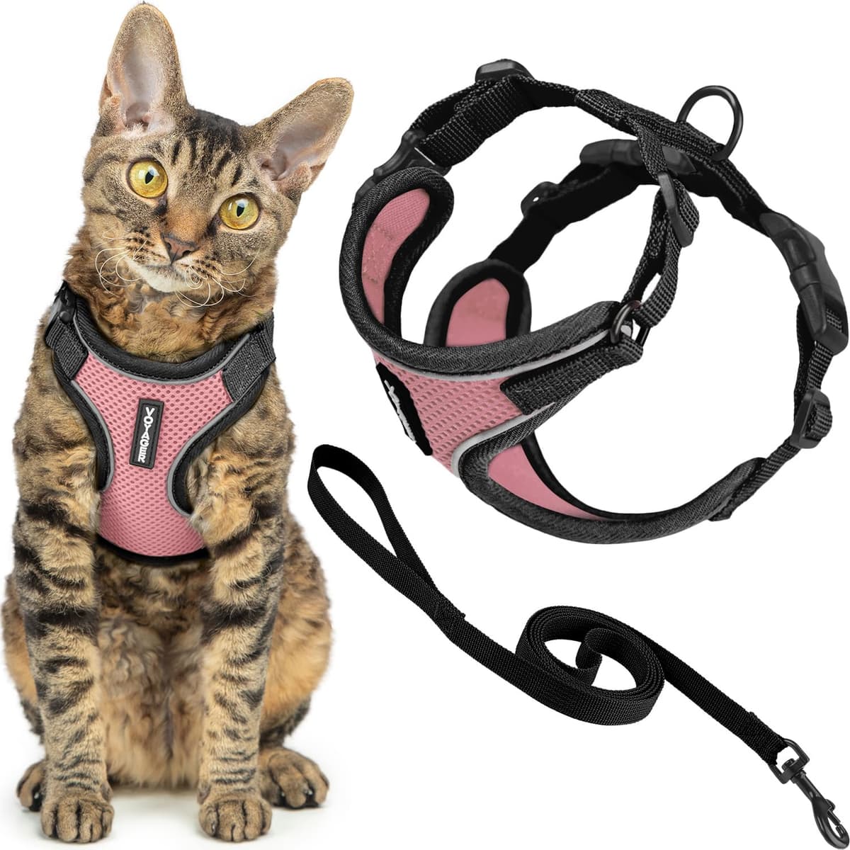 Best Pet Supplies Voyager Step-in Lock Pet Harness – All Weather Mesh, Adjustable Step in Harness for Cats and Dogs Turquoise (Matching Trim), XL (Chest: 22-36") — view 67