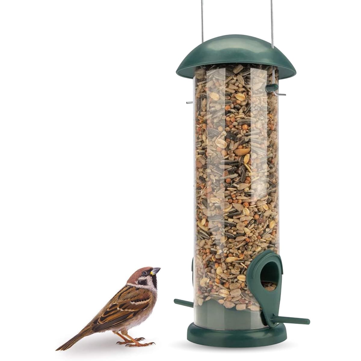 WILDLIFE FRIEND I Comedero para pájaros de Grano, Color Verde, con 2 Zonas de Acceso, estación de alimentación para pájaros, Columna de alimentación, Granos para Aves Silvestres (20cm)