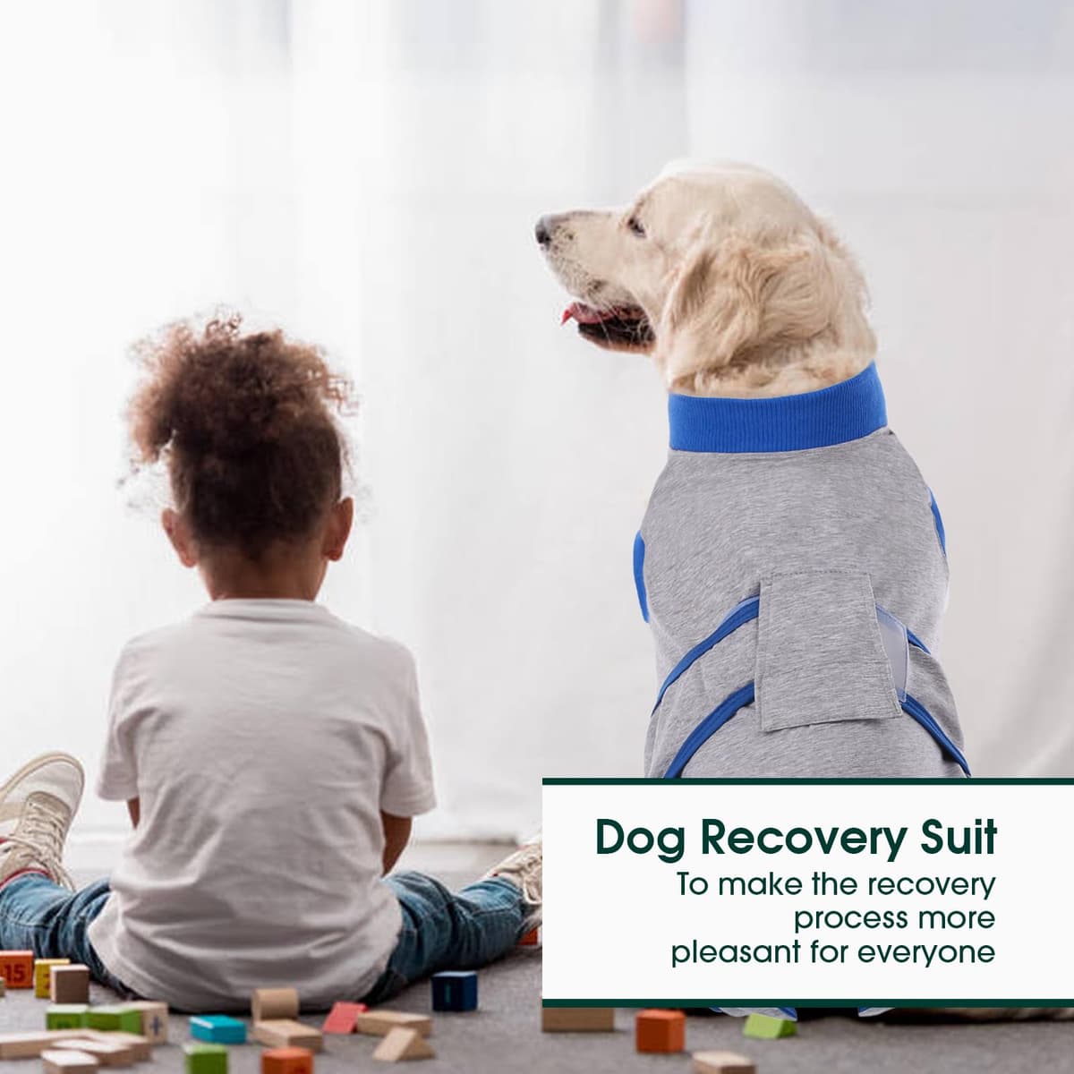 Kuoser Traje de recuperación de Perro para Hombre/Mujer, Camiseta para Cachorros después de la cirugía, Alternativa de Cuello electrónico para Mascotas pequeño, Mediano y Grande — view 5