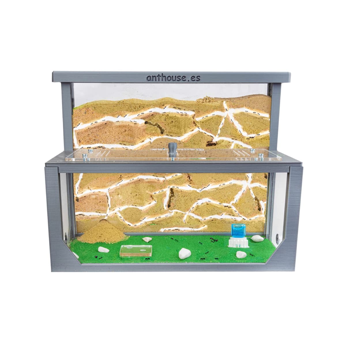 Anthouse.es - Hormiguero Natural de Arena - Kit Hormiguero 3D Forma de L (Sándwich + Caja de Forrajeo) - Granja de Hormigas con Colonia de Hormigas Incluida - 25x20x1 cm y 10x24x10 cm - Azul — view 7
