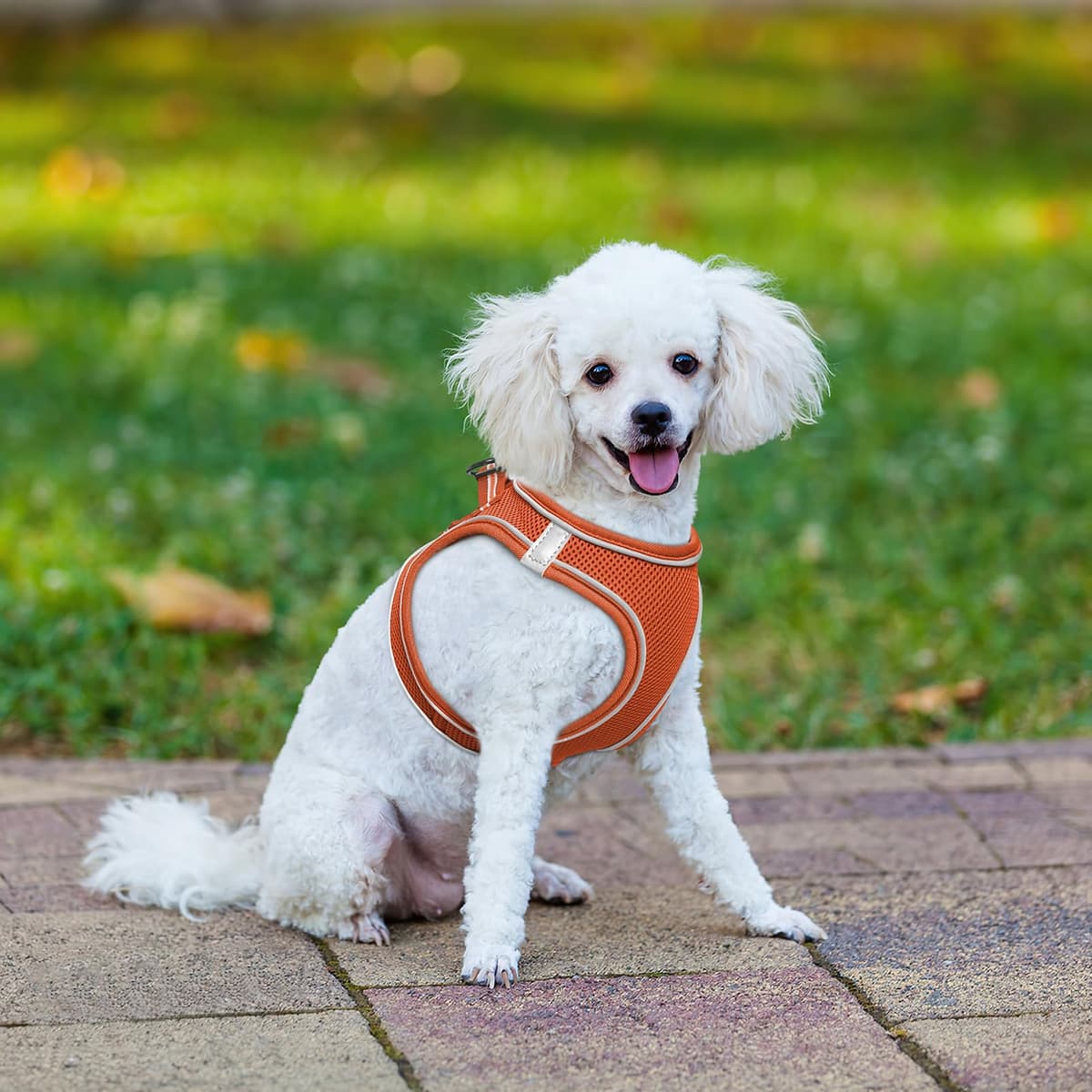 HEELE Arnes Perro Pequeño con Lineas Reflecantes Arnés Perro Antitirones Ajustable Suave Acolchado Cómodo para Viajar Pasear con Mascota, Flores Nanranja, S — view 25