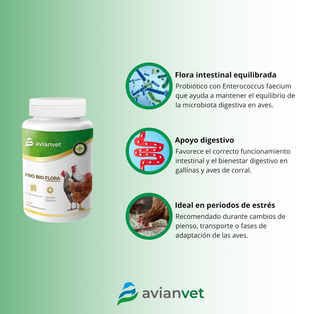 Pro Bio Flora Gallinas | Probiótico para Aves de Corral con Enterococcus faecium | Flora Intestinal, Salud Digestiva y Bienestar en Aves de Corral 150 g — view 2