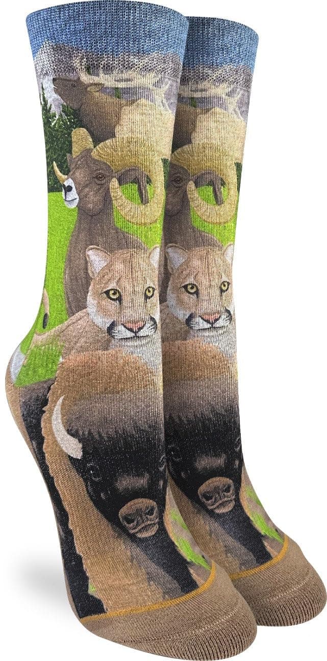 Good Luck Sock Women's Floral Dinosaurs Socks, Shoe Size 5-9 — view 10