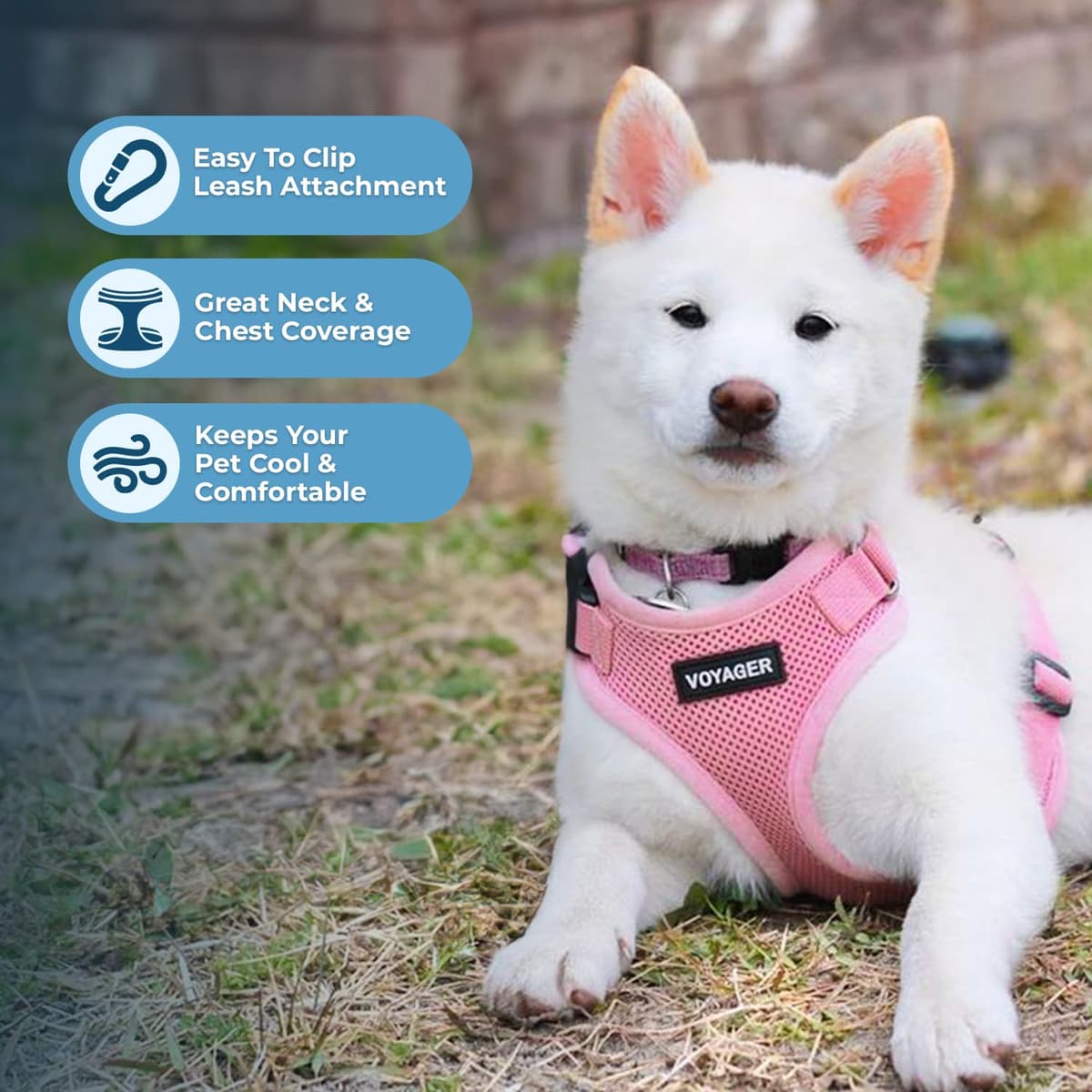 Best Pet Supplies Voyager Step-in Lock Pet Harness – All Weather Mesh, Adjustable Step in Harness for Cats and Dogs Pink (Matching Trim), XS (Chest: 11-16" Fit Cats) — view 3
