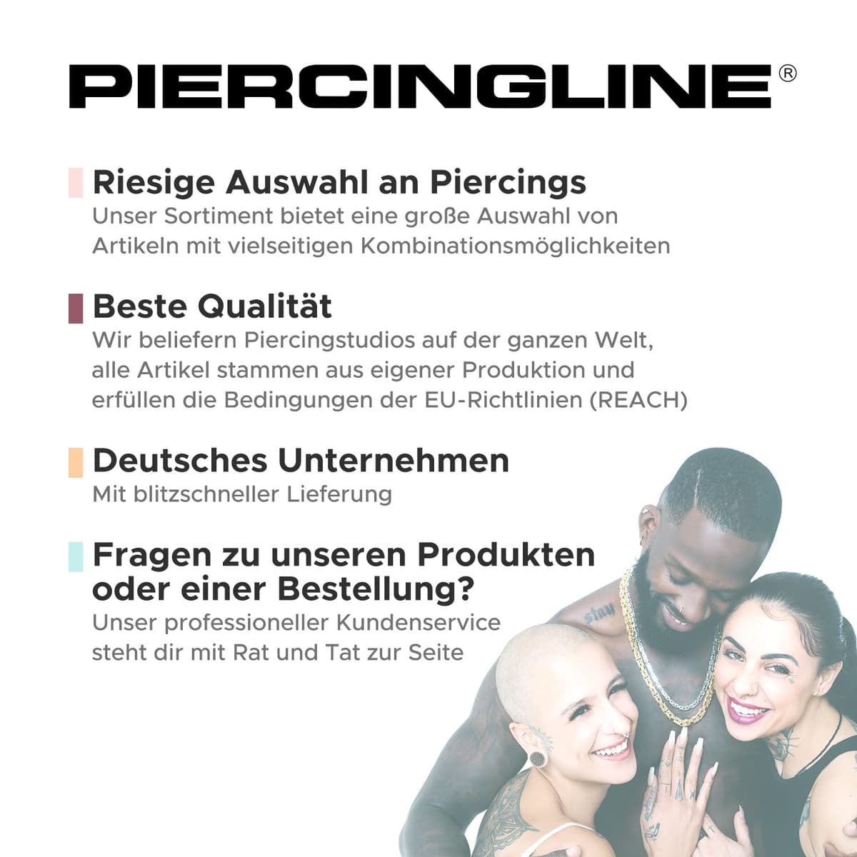 PIERCINGLINE Anillo segmento Clicker de acero quirúrgico – Piercing en oro, plata, rosa, negro o azul – para nariz, tabique, oreja, hélice o tragus — view 8