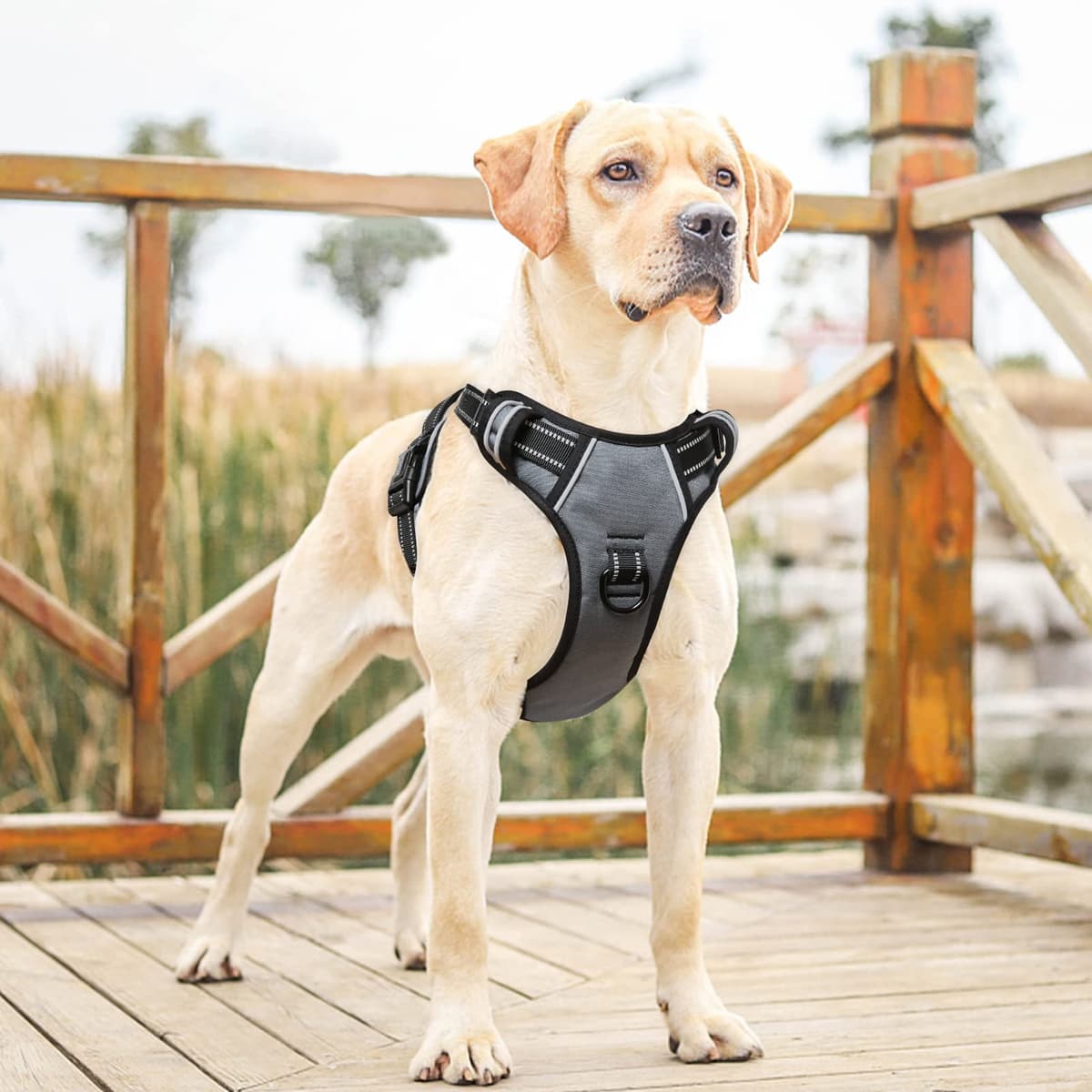 HEELE Dog Harness Medium No Pull Dog Vest Harness with Soft Handle Reflective Pet Harness for Outdoor Training Walking, Black, M — view 25