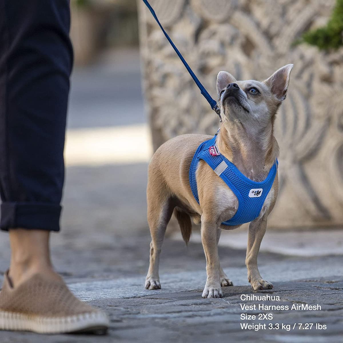 Vest Harness Air-Mesh Skyblue 2XS — view 6