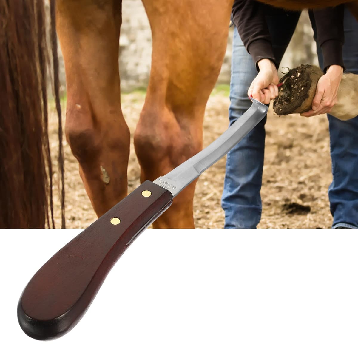 Cuchillo Reutilizable para Pezuñas de Ganado, Cortador Profesional de Doble Filo en Acero Inoxidable, Herramienta para Herrar Caballos en Pastos y Establos — view 4