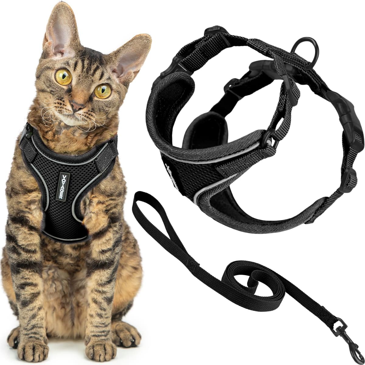Best Pet Supplies Voyager Step-in Lock Pet Harness – All Weather Mesh, Adjustable Step in Harness for Cats and Dogs Turquoise (Matching Trim), XL (Chest: 22-36") — view 34