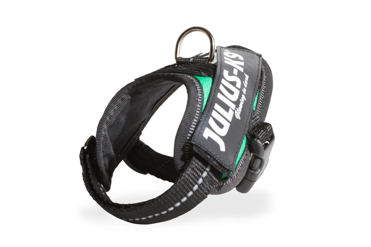 Julius-K9, 16IDC-AM-M, IDC Powerharness, dog harness, Size: Mini, Aquamarine — view 265