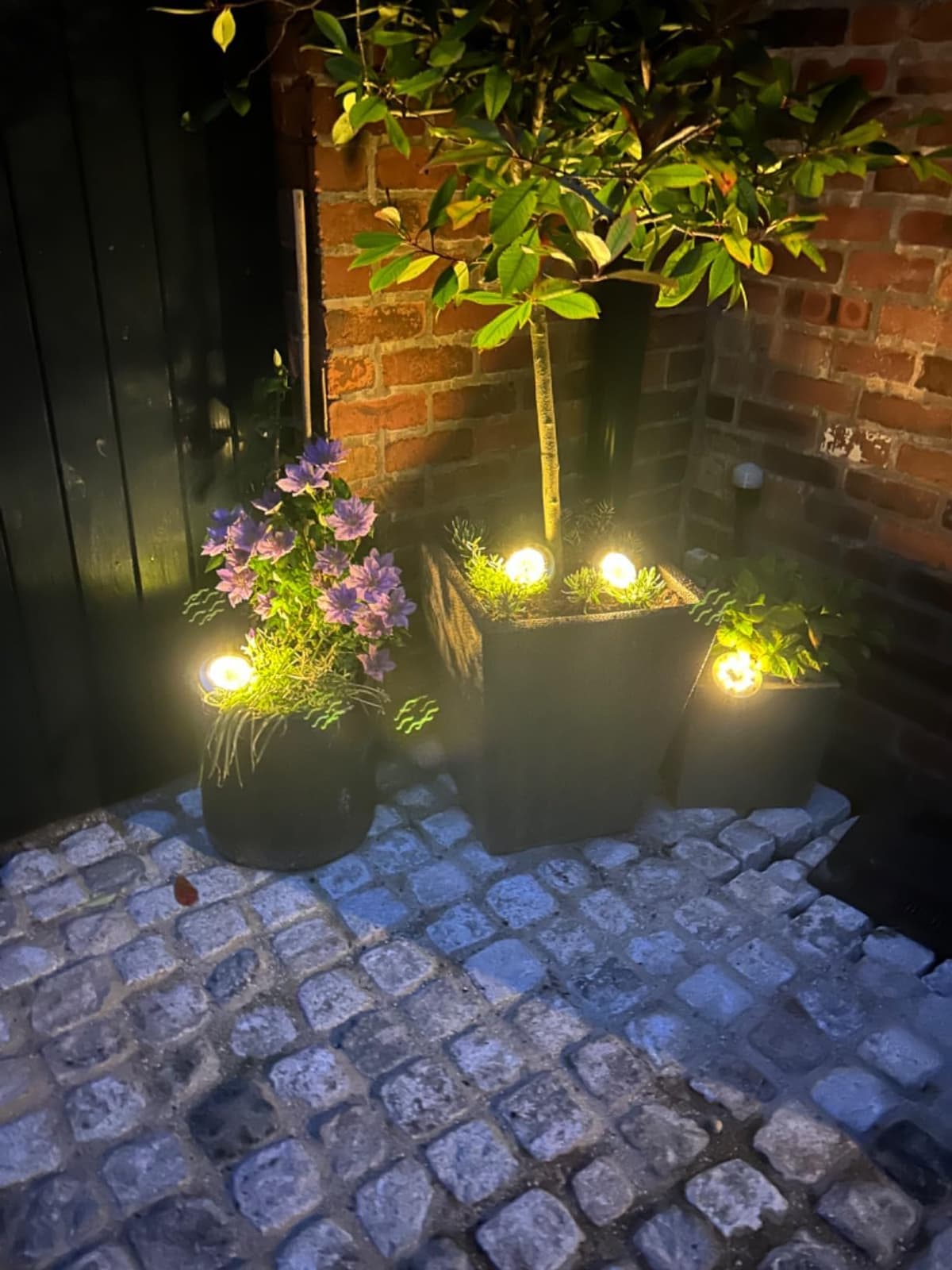 ZFITEI 8 Pack Solar Ground Lights Outdoor,8 LED Solar Garden Lights with 600mAh Battery & 8H Runtime for Lawn,Pathway（Warm White ） — view 8