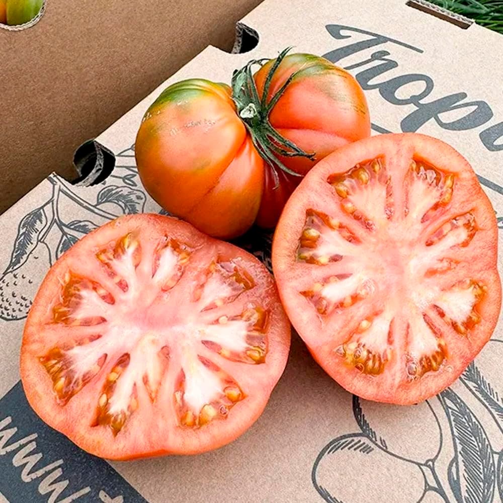 Tomate Raf | Comprar los mejores tomates Raf de temporada, frescos, de sabor único y cultivados de forma sostenible en España, directos del agricultor a tu mesa (4 Kg) — view 5