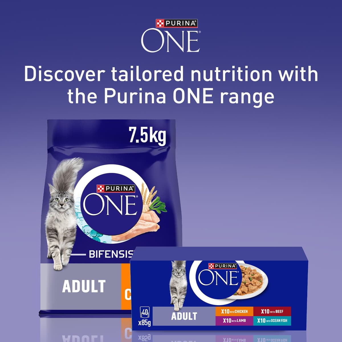 PURINA ONE Mini Fillets Mixed Selection in Gravy Adult Wet Cat Food 40x85g — view 6
