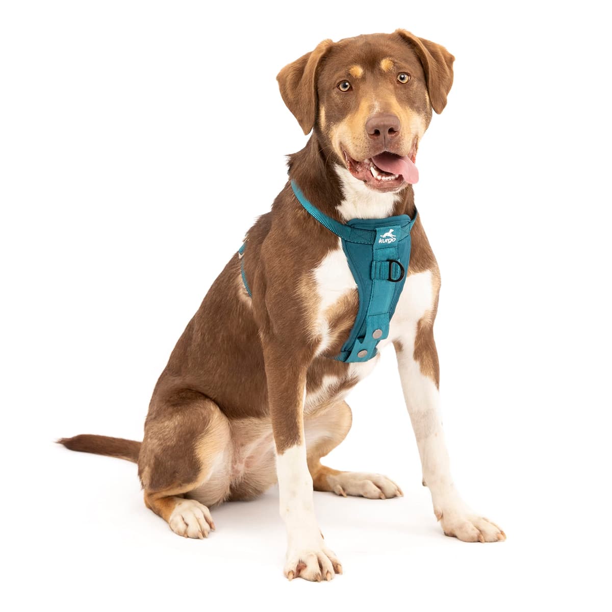 Kurgo Tru-Fit Smart Dog Walking Harness - Comfortable Fit - Adjustable Harness - Reflective Pet Wear - Quick Strap Release - Daily Walk Accessory - Includes Seat Belt Loop - Black - Medium — view 13