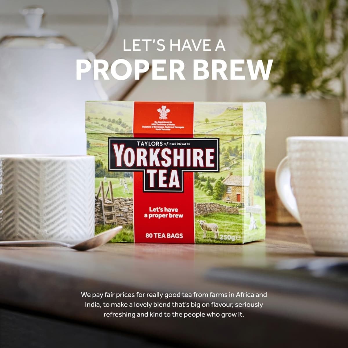 Yorkshire Tea, Total 480 Tea Bags, (Pack of 1.5 kg) — view 5
