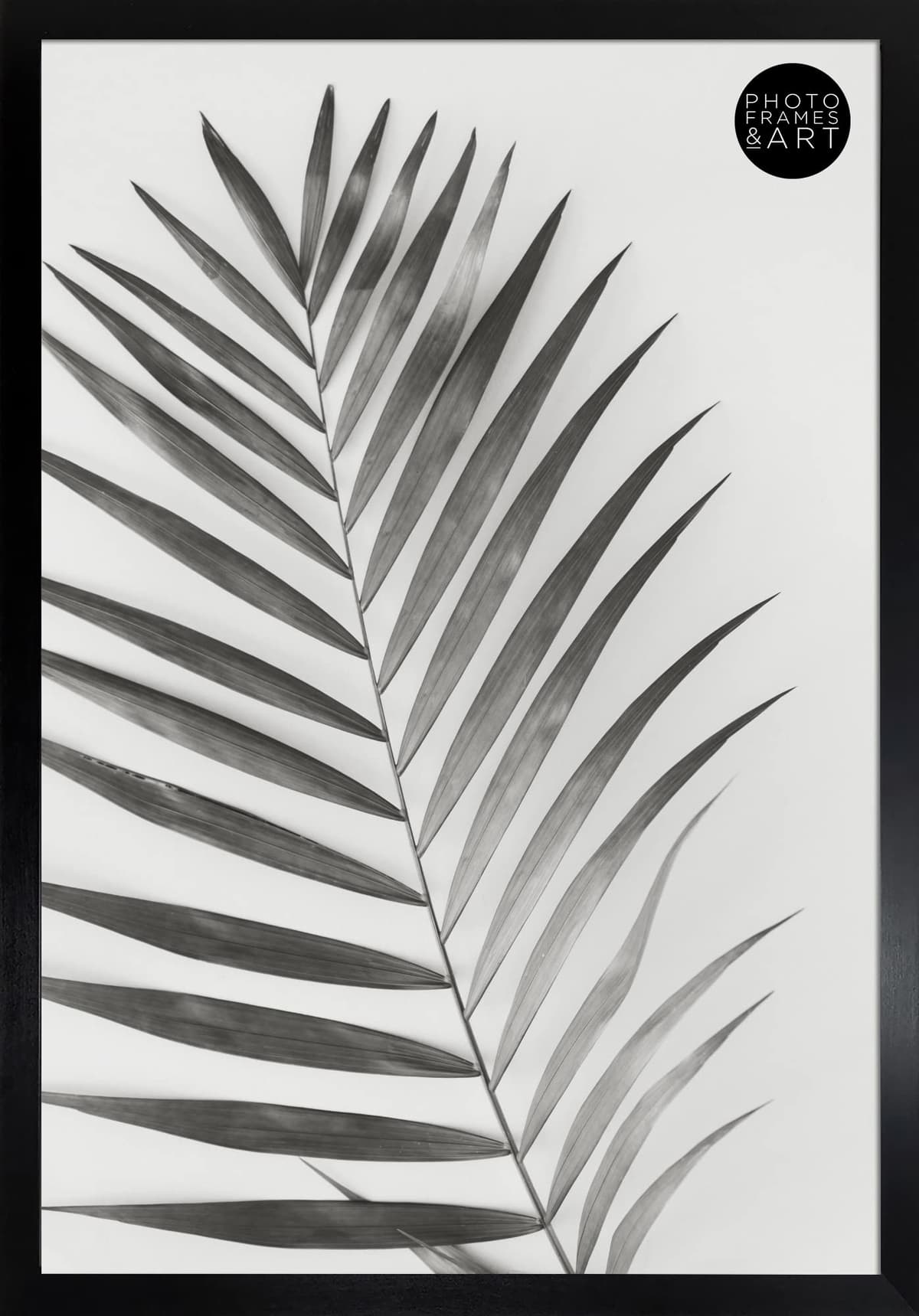 pf+a REAL GLASS A3 Black Frame Glass - PREMIUM A3 Picture Frame Black - Oxford A3 Print Portrait and Landscape Display — view 14