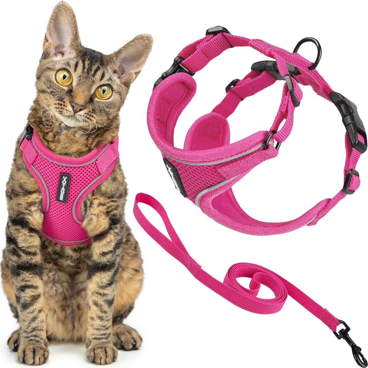Best Pet Supplies Voyager Step-in Lock Pet Harness – All Weather Mesh, Adjustable Step in Harness for Cats and Dogs Turquoise (Matching Trim), XL (Chest: 22-36") — view 64