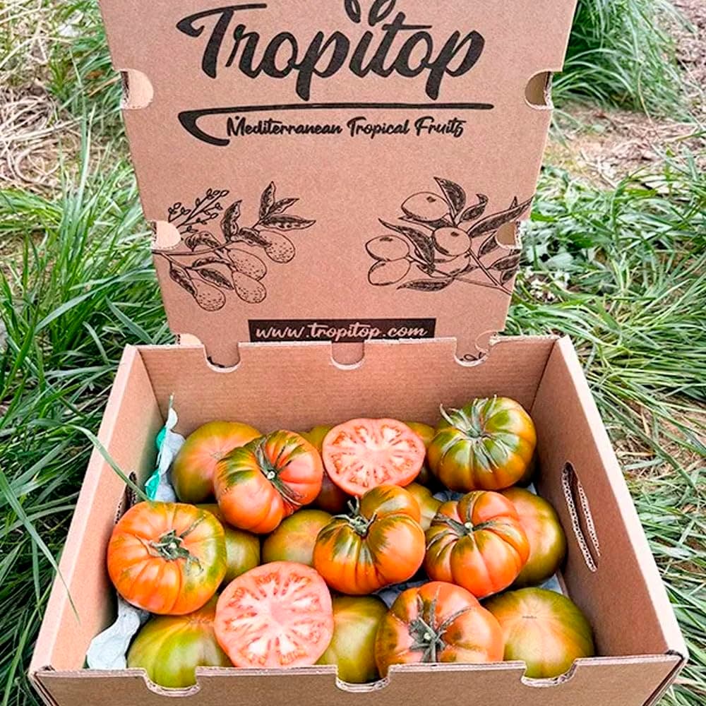 Tomate Raf | Comprar los mejores tomates Raf de temporada, frescos, de sabor único y cultivados de forma sostenible en España, directos del agricultor a tu mesa (4 Kg) — view 2