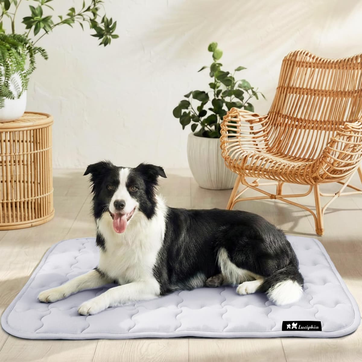 luciphia Alfombra refrescante para perros y gatos,Alfombrilla para perros,cojín refrescante para el verano,cama lavable para perros,manta refrescante perros grandes,medianos y pequeños Verde 102*153cm — view 2