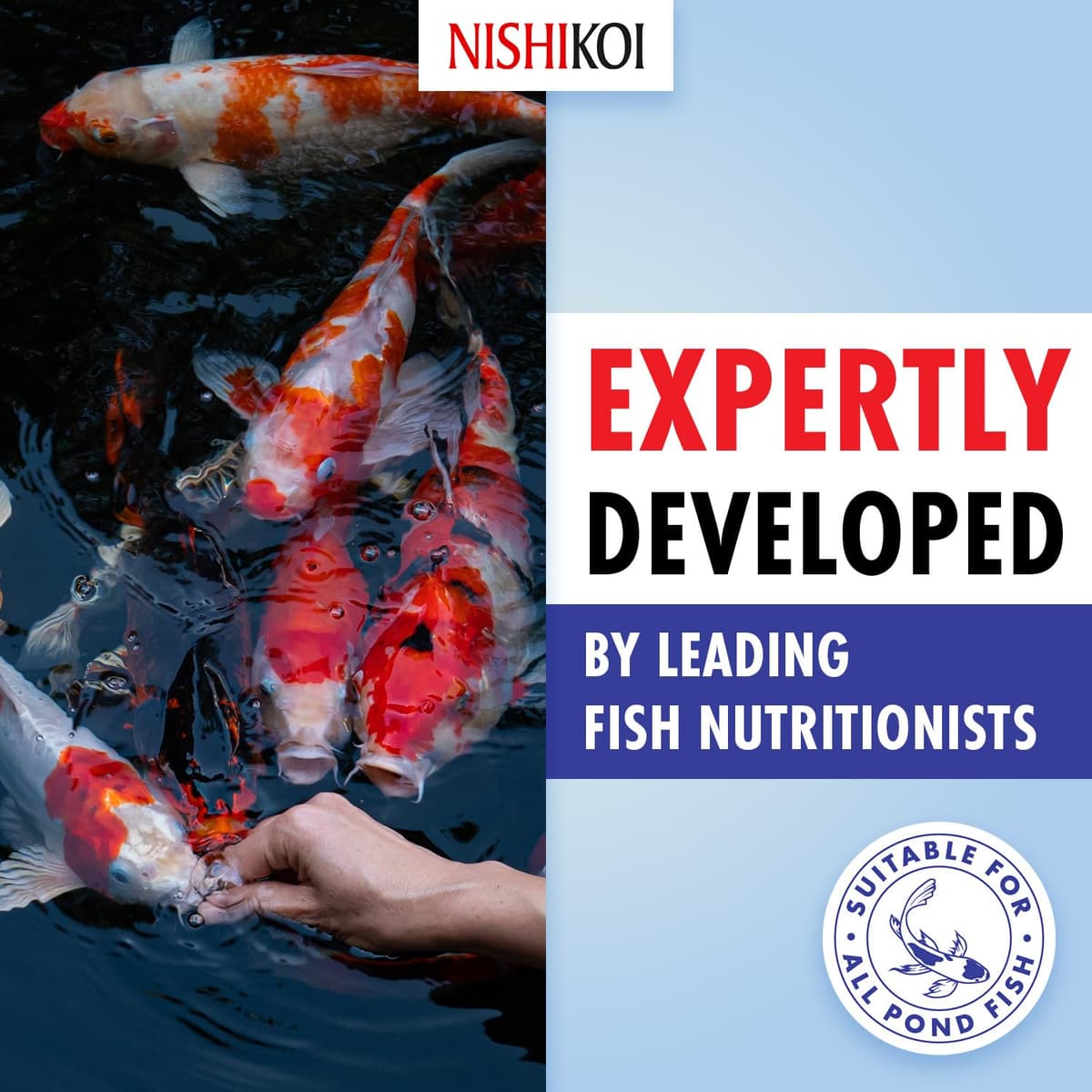 Nishikoi Growth Complete Food for Koi and Pond Fish - Small Pellets - 1250g — view 5