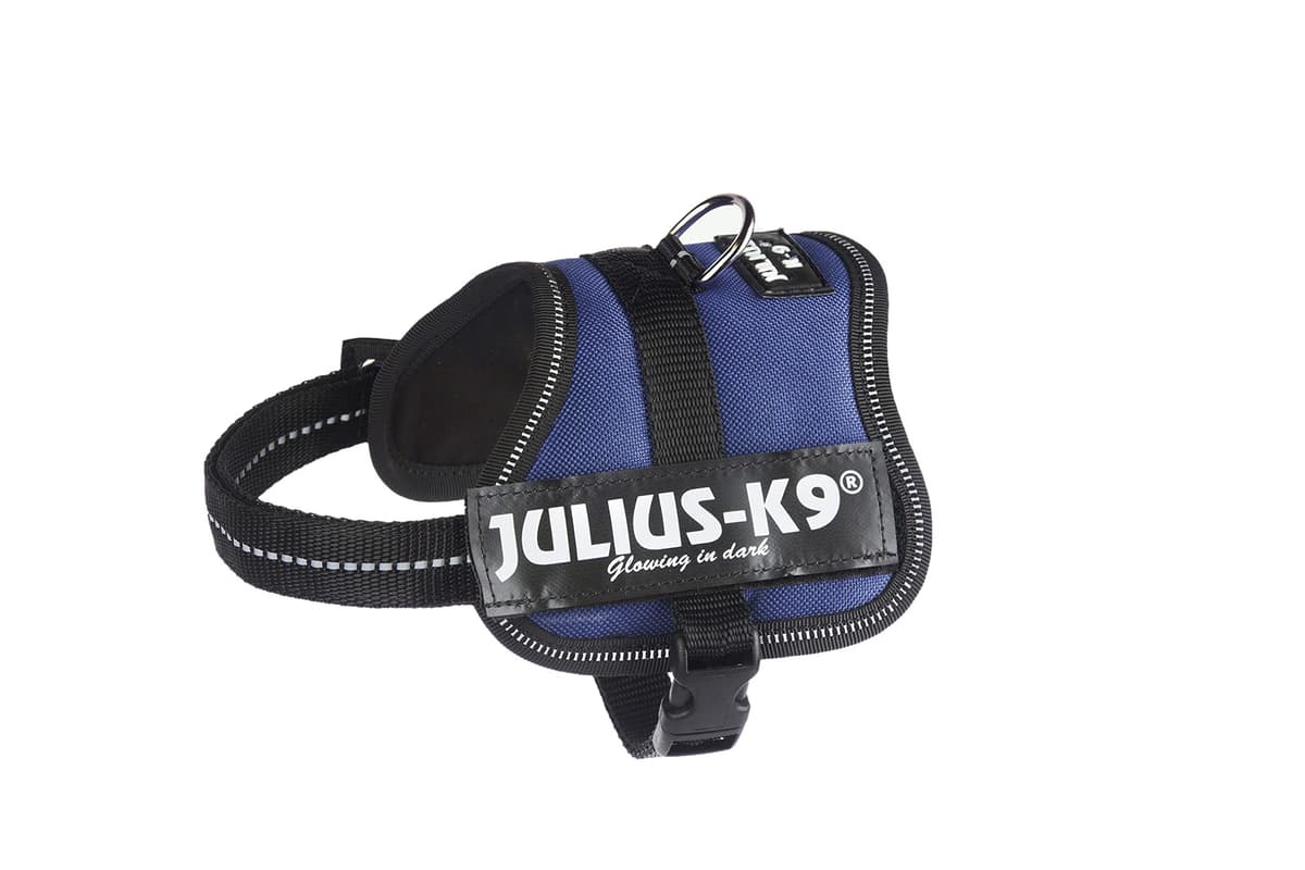 JULIUS-K9Powerharness, Size: S/Mini, Black — view 91