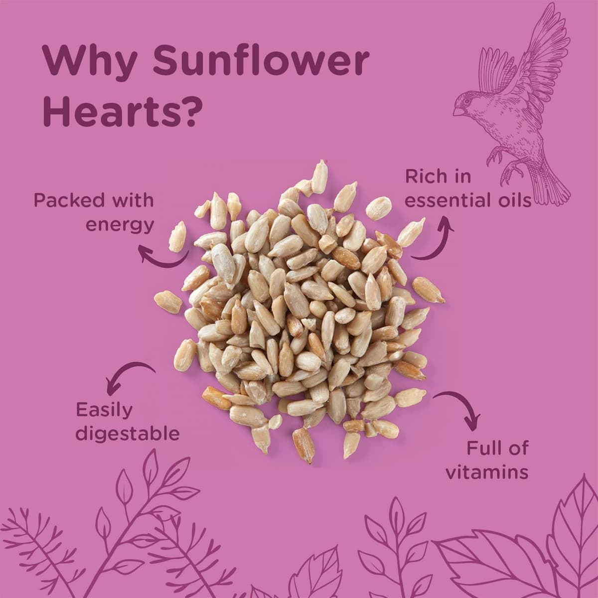 Extra Select Sunflower Hearts Bird Food - Husk-Free, Oil Rich, High Energy Wild Bird Seed for Year Round Feeding - 3 Litre Bucket — view 5