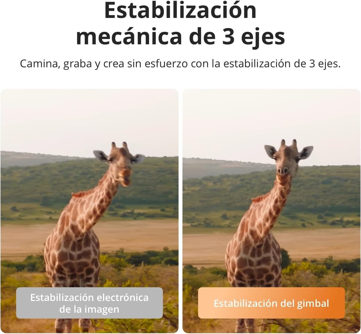 DJI Pack Esencial Osmo Pocket 4 Bundle, cámara para videovlogs de Bolsillo con estabilizador, 1″ CMOS y 4K/240 fps, estabilización de 3 Ejes (Combinación Esencial) — view 5