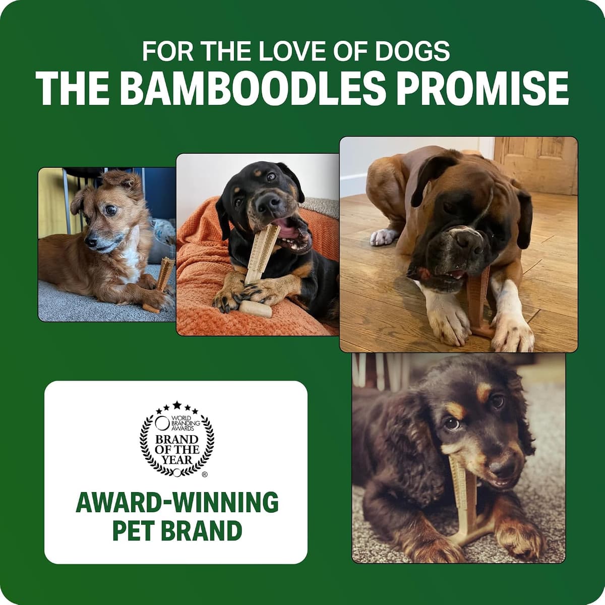 Bamboodles Dog Chew Toy – Small | Beef Flavour | Long Lasting Chew toy for Small Dogs | Durable and Safe Daily Chew — view 6