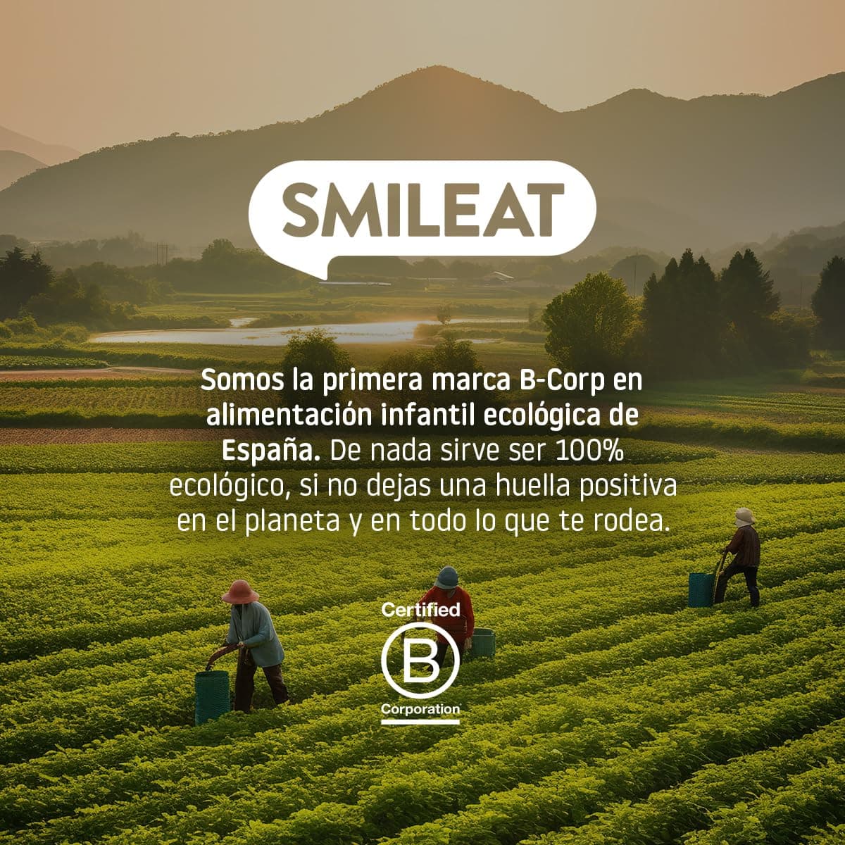 Smileat - Galletas de Espelta y Fruta para Peques 10+ meses - Sin Azúcar Añadido, Con Aceite de Oliva Virgen Extra- Perfectas Como Snack o Merienda - 220g — view 7