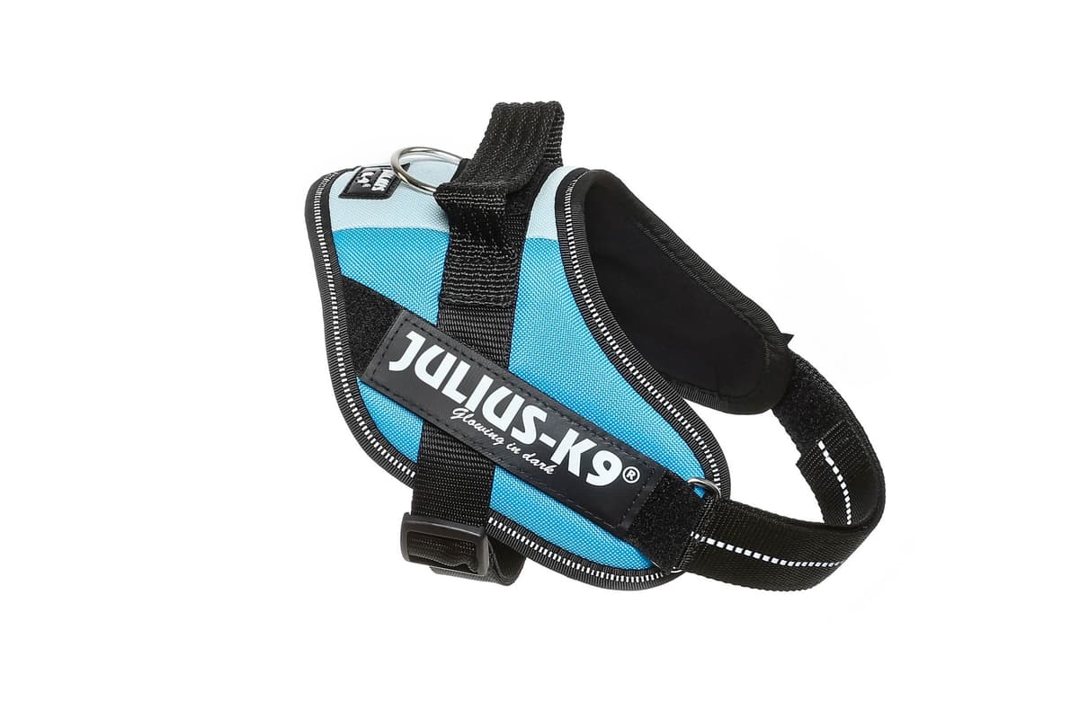 Julius-K9, 16IDC-AM-M, IDC Powerharness, dog harness, Size: Mini, Aquamarine — view 402