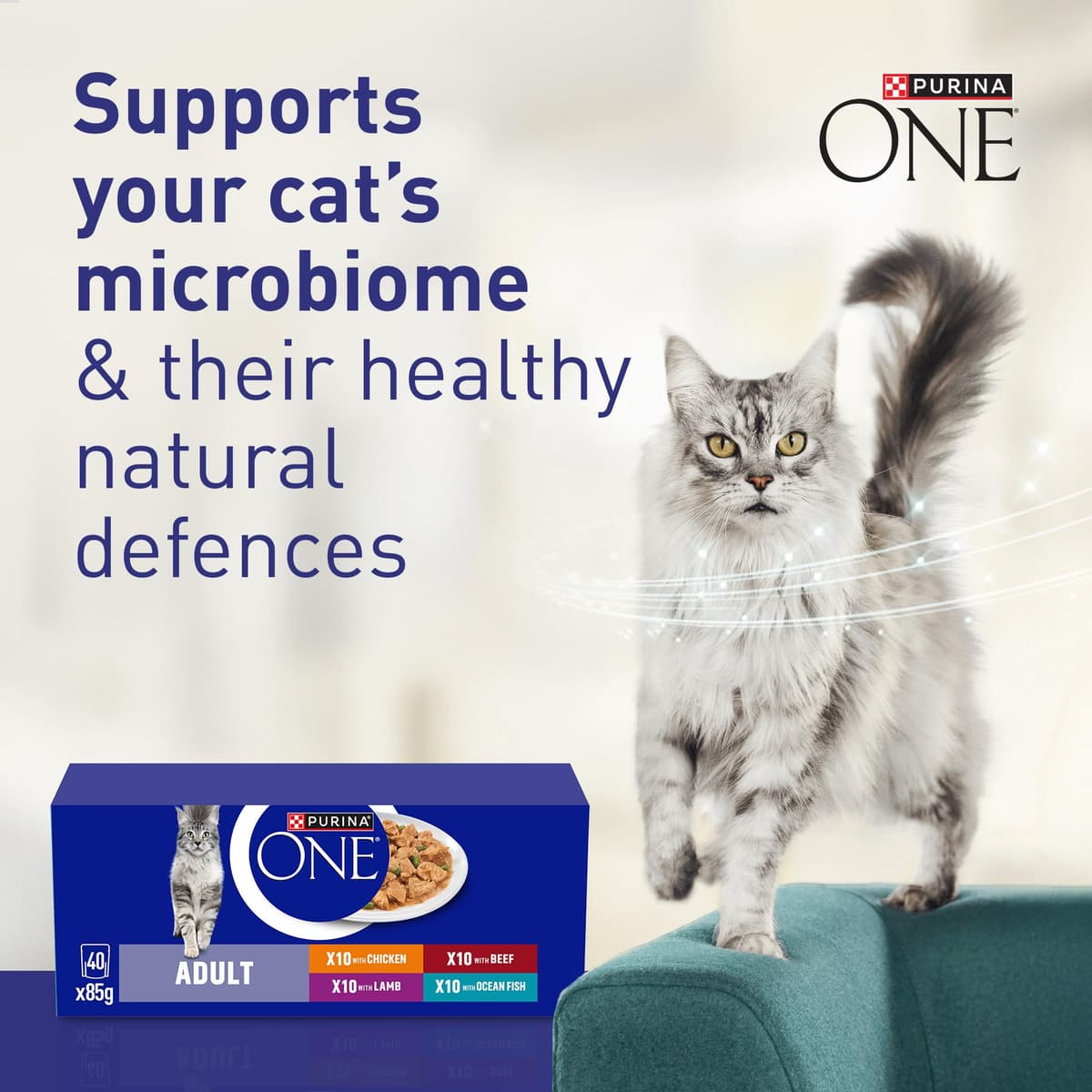PURINA ONE Mini Fillets Mixed Selection in Gravy Adult Wet Cat Food 40x85g — view 2