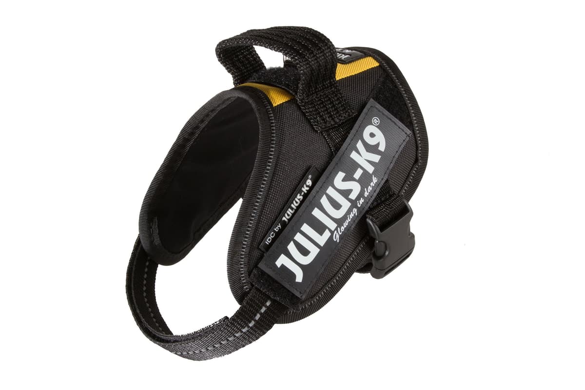 Julius-K9, 16IDC-AM-M, IDC Powerharness, dog harness, Size: Mini, Aquamarine — view 159
