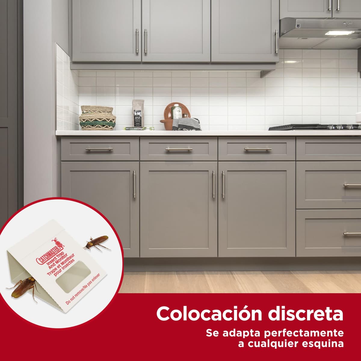 Catchmaster 100i – Trampas para Cucarachas 30 Piezas – Trampas Cucarachas Adhesivas de máxima Calidad – Sin Veneno ni Biocidas – Seguras para Niños y Mascotas – Adhesivo Natural — view 4