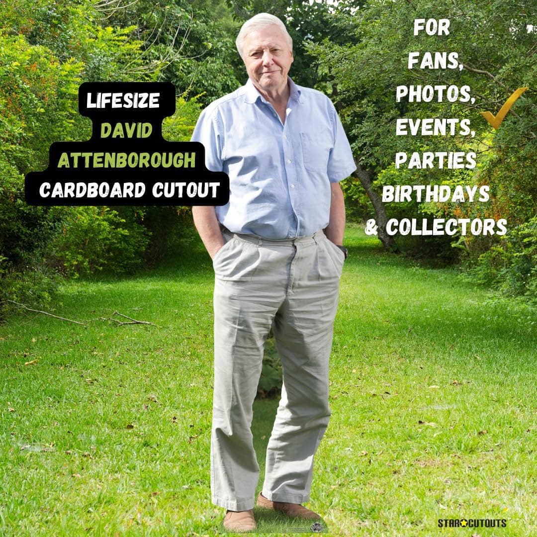 Star Cutouts Ltd CS774 David Attenborough Lifesized Cardboard Cutout with Free Table Top Height 178cm, Multicolour — view 2