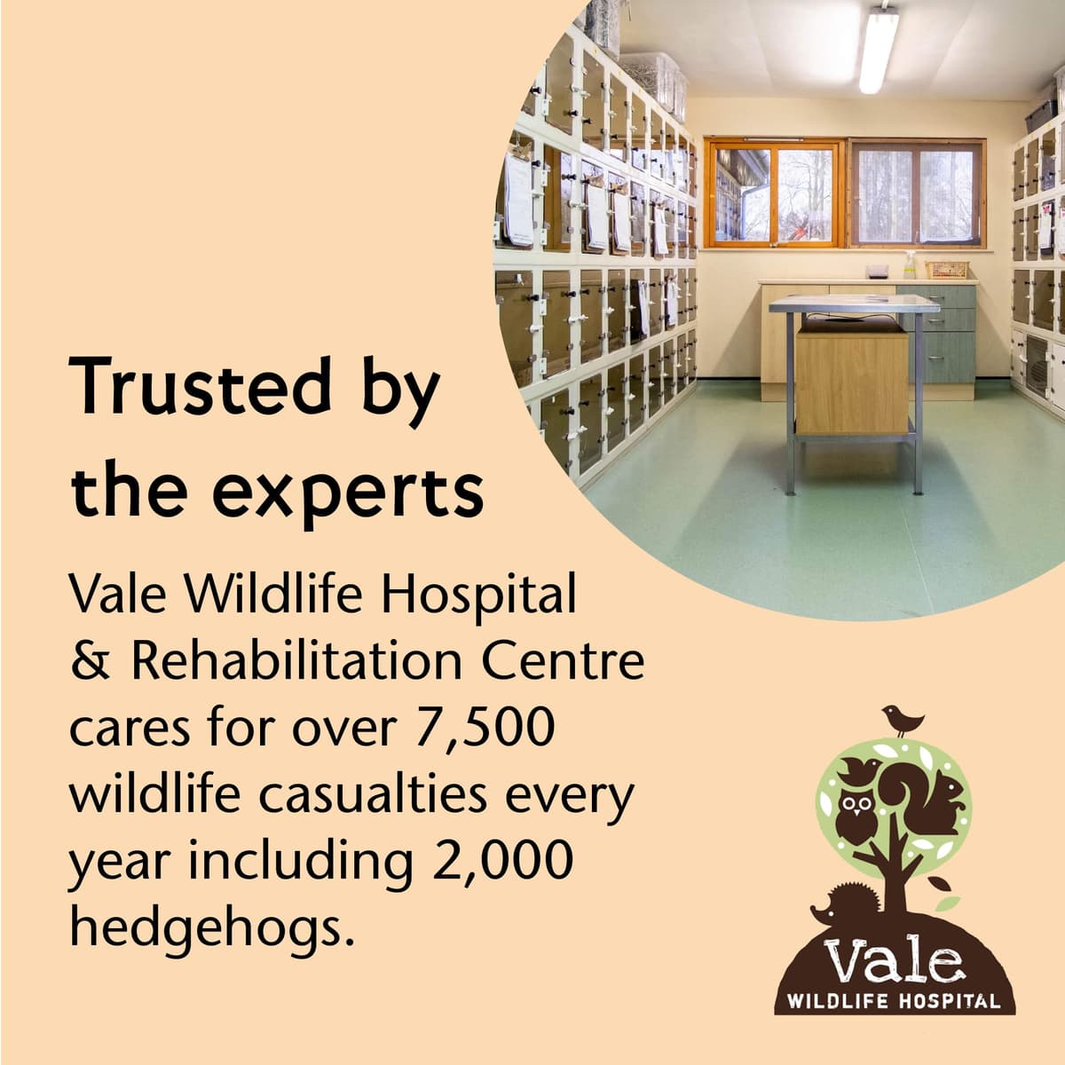Vale’s™ Hedgehog Food – specially developed – used daily at Vale Wildlife Hospital – meaty, crunchy biscuits, high in fibre – suitable and nutritious – ideal addition to their natural diet (1.5kg) — view 4