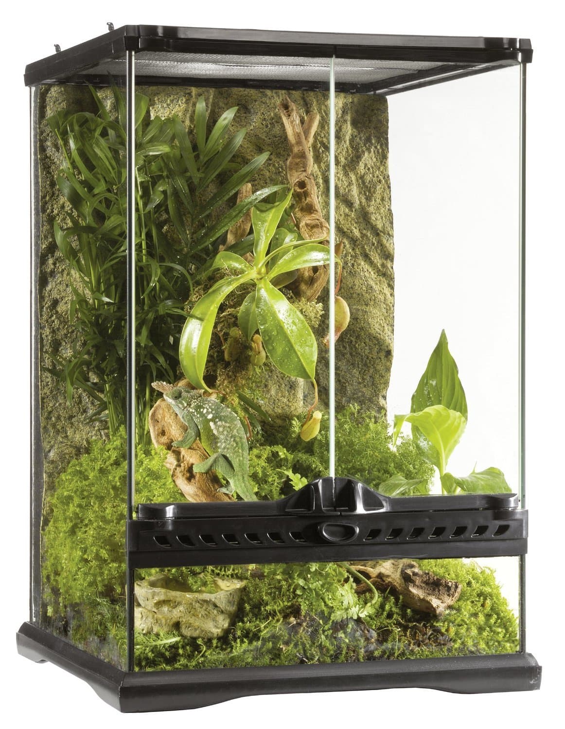 Exo Terra Terrario de cristal, con ventilación frontal única, 60 x 45 x 30 cm — view 8