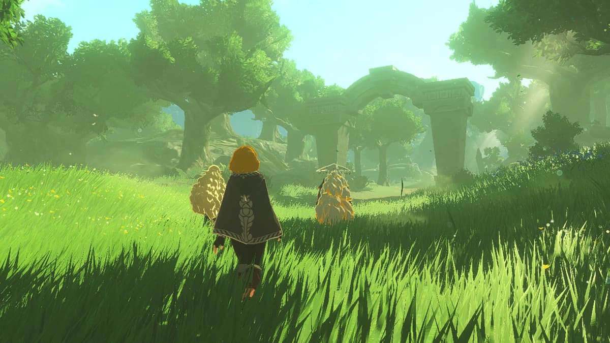 Hyrule Warriors: Age of Imprisonment — view 3