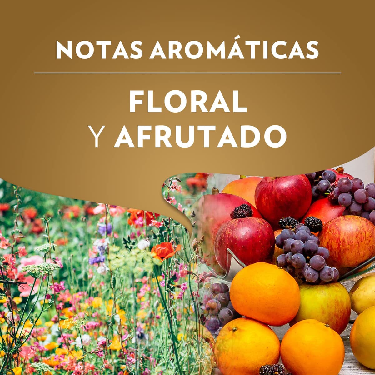 Lavazza, Qualità Oro, Café en Grano Natural, Ideal para la Máquina de Café Espresso, con Notas Aromáticas de Frutas y Flores, 100% Arábica, Intensidad 5, Tueste Medio, Paquete de 500 g — view 3