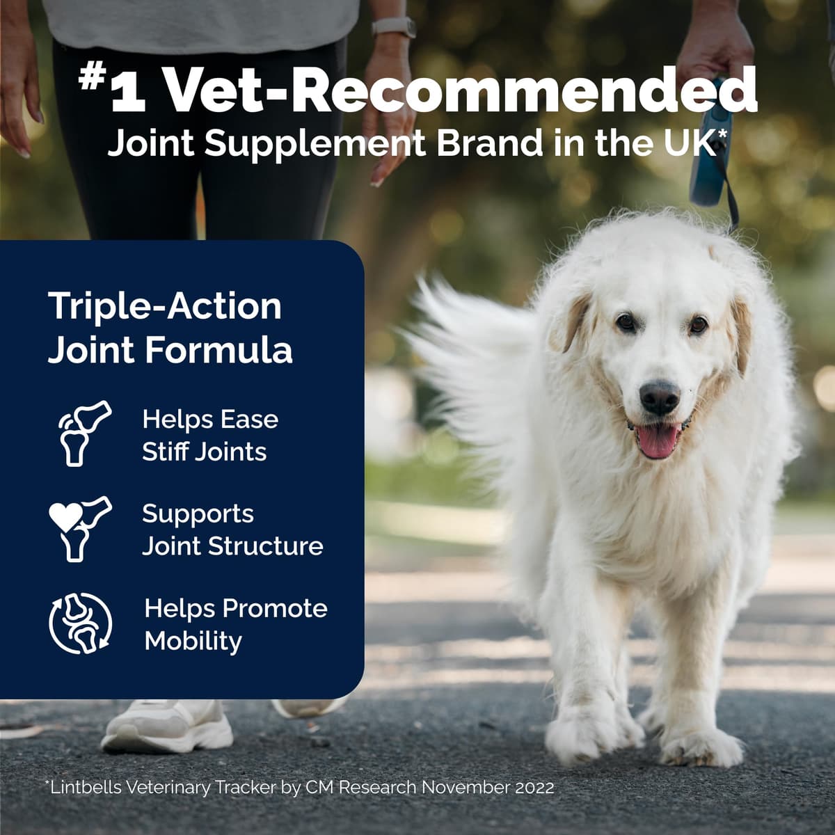 YuMOVE Senior Dog Joint Supplement, Essential Hip & Joint Support for Older Dogs with Glucosamine, Chondroitin, Green Lipped Mussel, Aged 8+, 120 Tablets, Packaging May Vary — view 3