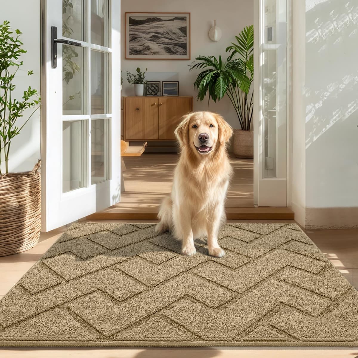 Biscpro Door Mats Indoor,Dirt Trapper Mat Absorbent Non-Slip Low Profile Doormat for Entrance,Inside, Kitchen,Front Door Mat Washable for Pets and Dogs— 50x80cm,Grey — view 101
