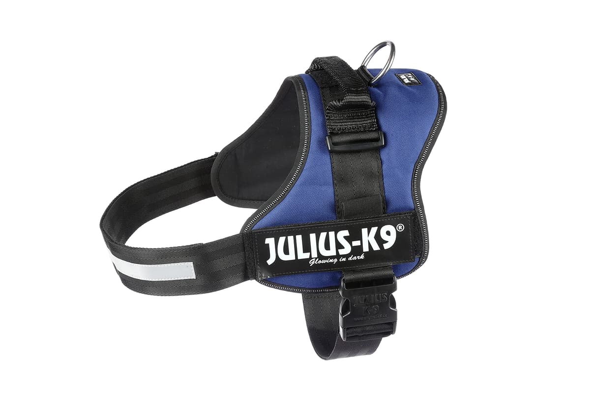 JULIUS-K9Powerharness, Size: S/Mini, Black — view 168
